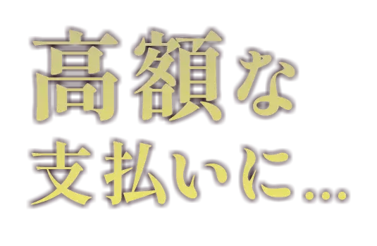 高額な支払いに